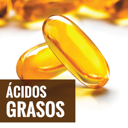 Ácidos Grasos